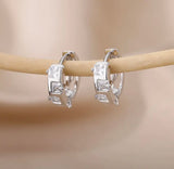 Titanium Snap Back Hoop Earring Pair