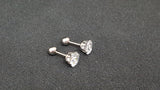 Titanium Silver Earrings, Ball Back Screw on Studs Pair