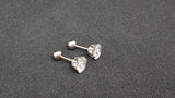 Titanium Silver Earrings, Ball Back Screw on Studs Pair