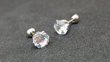 Titanium Silver Earrings, Ball Back Screw on Studs Pair