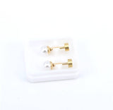 Titanium Gold Pearl Stud Earrings